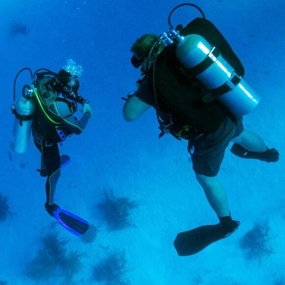 Seaskin Mens 3mm Shorty Wetsuit Womens Full Body Diving Suit Front Zip Wetsuit - Picture 3 of 16